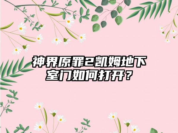 神界原罪2凯姆地下室门如何打开？