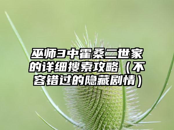 巫师3中霍桑二世家的详细搜索攻略（不容错过的隐藏剧情）
