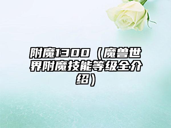 附魔1300（魔兽世界附魔技能等级全介绍）