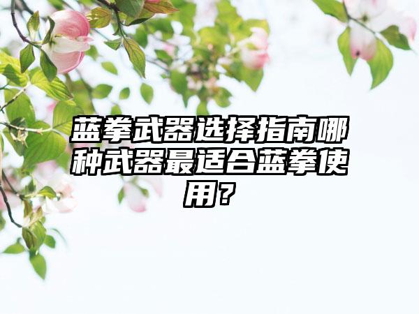 蓝拳武器选择指南哪种武器最适合蓝拳使用？