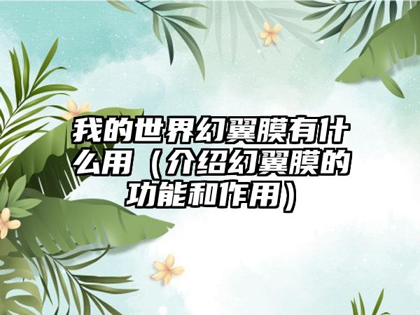我的世界幻翼膜有什么用（介绍幻翼膜的功能和作用）