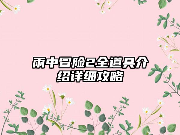 雨中冒险2全道具介绍详细攻略