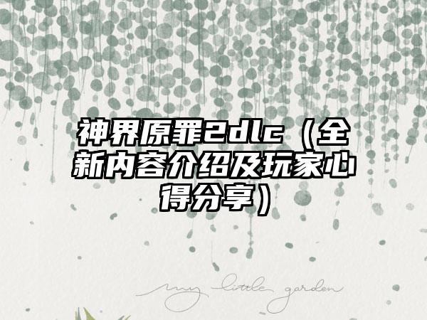 神界原罪2dlc（全新内容介绍及玩家心得分享）