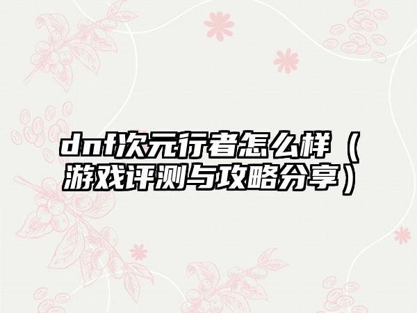 dnf次元行者怎么样（游戏评测与攻略分享）
