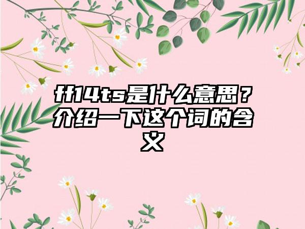 ff14ts是什么意思？介绍一下这个词的含义