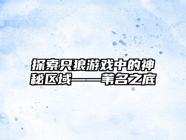 探索只狼游戏中的神秘区域——苇名之底