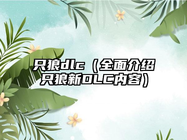 只狼dlc（全面介绍只狼新DLC内容）