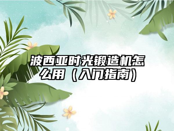 波西亚时光锻造机怎么用（入门指南）