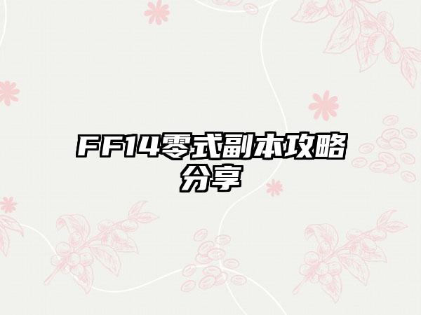 FF14零式副本攻略分享