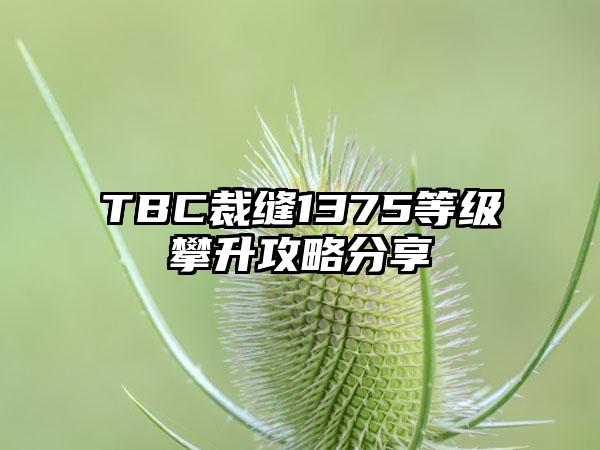 TBC裁缝1375等级攀升攻略分享