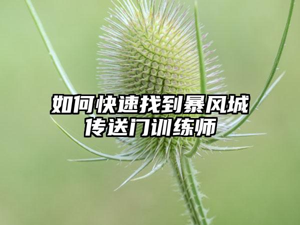 如何快速找到暴风城传送门训练师
