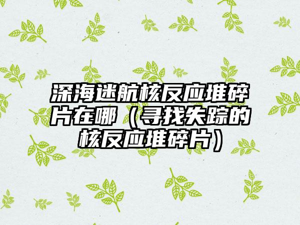 深海迷航核反应堆碎片在哪（寻找失踪的核反应堆碎片）