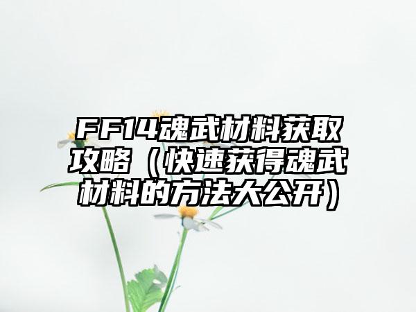 FF14魂武材料获取攻略（快速获得魂武材料的方法大公开）