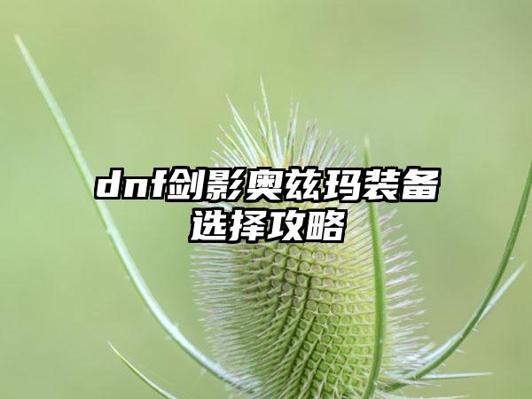 dnf剑影奥兹玛装备选择攻略
