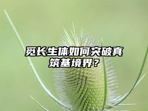 觅长生体如何突破真筑基境界？