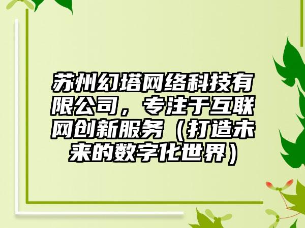 苏州幻塔网络科技有限公司，专注于互联网创新服务（打造未来的数字化世界）