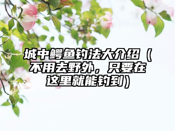 城中鳄鱼钓法大介绍（不用去野外，只要在这里就能钓到）