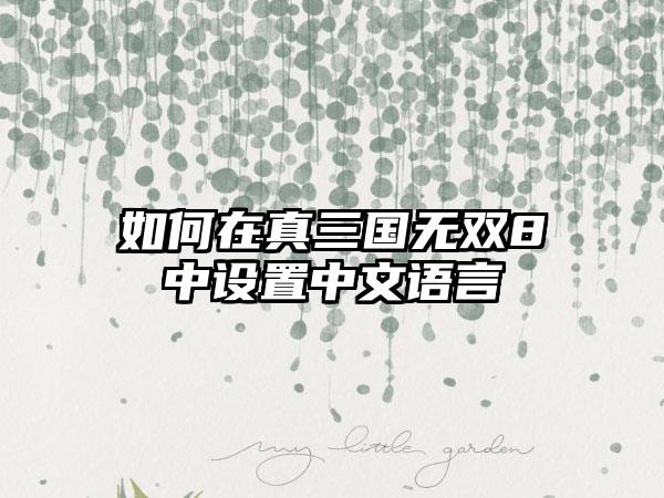 如何在真三国无双8中设置中文语言