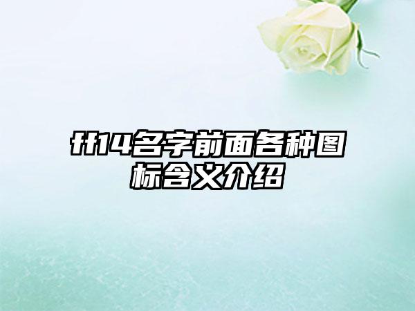 ff14名字前面各种图标含义介绍