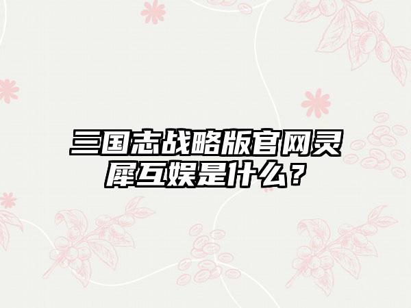 三国志战略版灵犀互娱是什么？