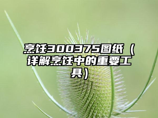 烹饪300375图纸（详解烹饪中的重要工具）