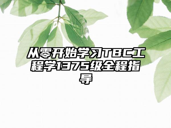从零开始学习TBC工程学1375级全程指导