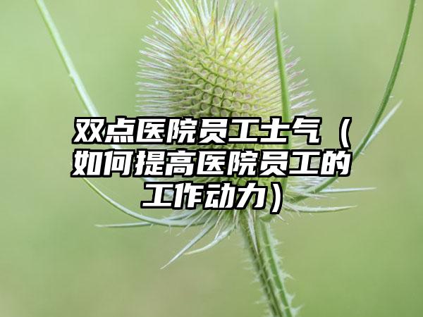 双点医院员工士气（如何提高医院员工的工作动力）