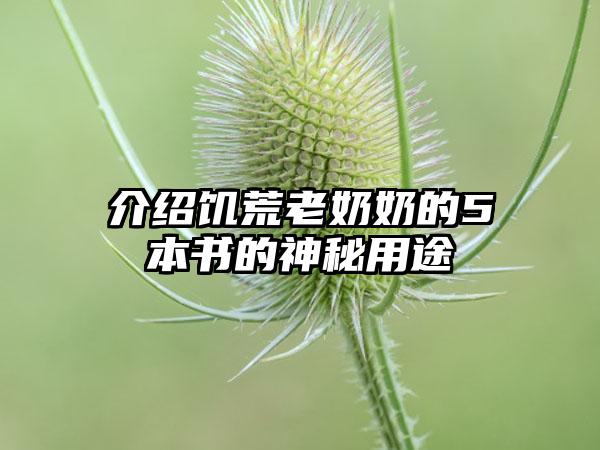 介绍饥荒老奶奶的5本书的神秘用途