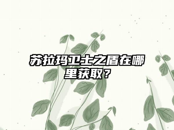 苏拉玛卫士之盾在哪里获取？