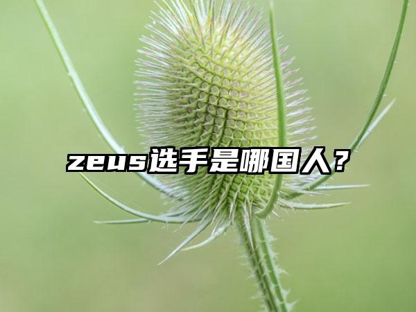 zeus选手是哪国人？