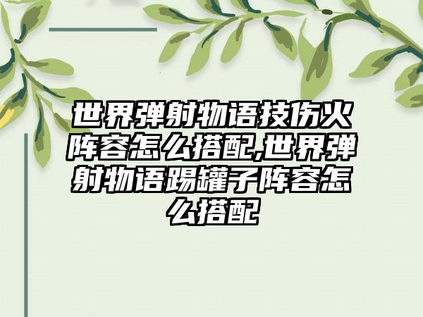 世界弹射物语技伤火阵容怎么搭配,世界弹射物语踢罐子阵容怎么搭配