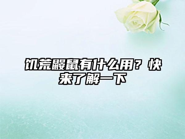 饥荒鼹鼠有什么用？快来了解一下