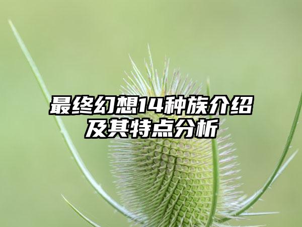 最终幻想14种族介绍及其特点分析
