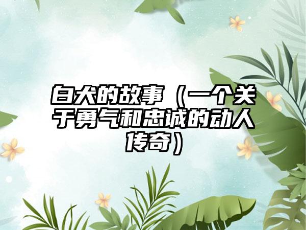 白犬的故事（一个关于勇气和忠诚的动人传奇）