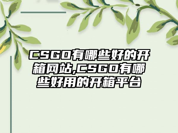 CSGO有哪些好的开箱网站,CSGO有哪些好用的开箱平台