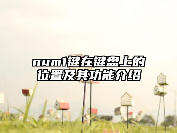 num1键在键盘上的位置及其功能介绍