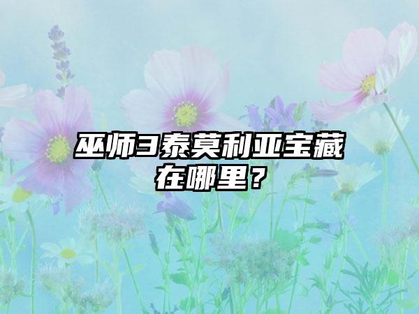 巫师3泰莫利亚宝藏在哪里？