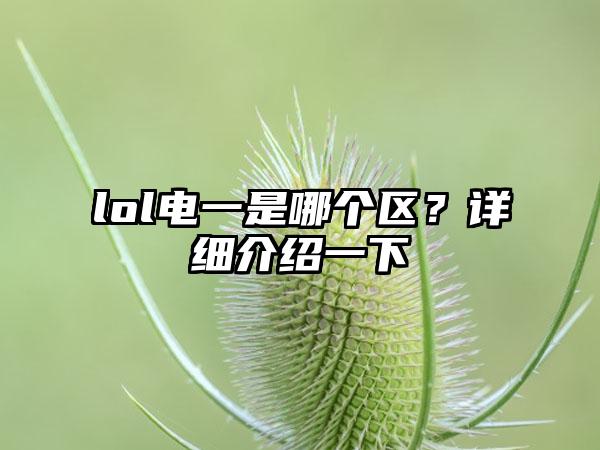 lol电一是哪个区？详细介绍一下