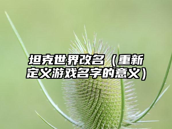 坦克世界改名（重新定义游戏名字的意义）
