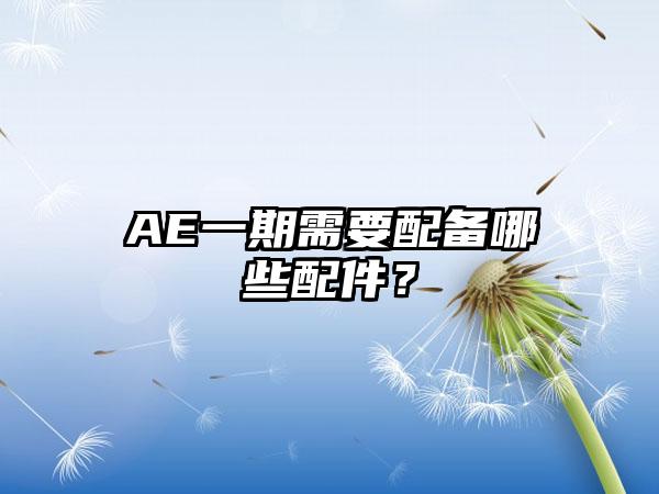 AE一期需要配备哪些配件？