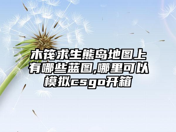 木筏求生熊岛地图上有哪些蓝图,哪里可以模拟csgo开箱