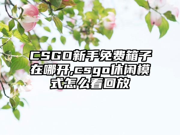 CSGO新手免费箱子在哪开,csgo休闲模式怎么看回放