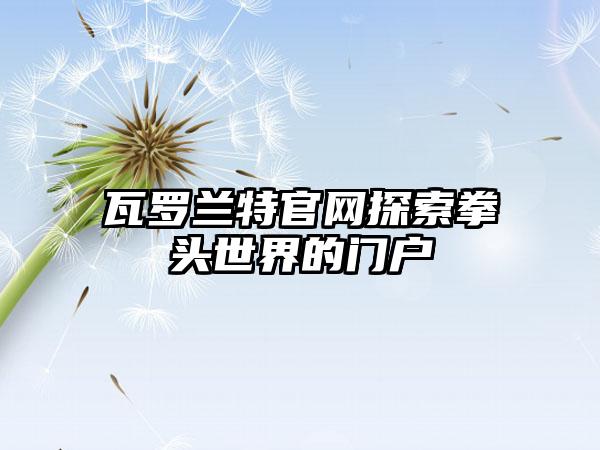 瓦罗兰特探索拳头世界的门户