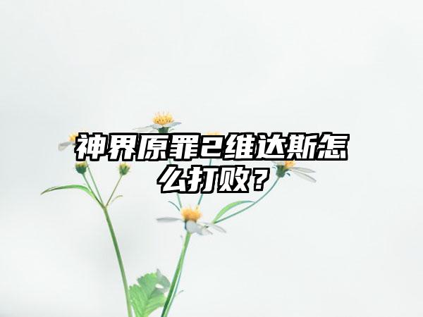 神界原罪2维达斯怎么打败？