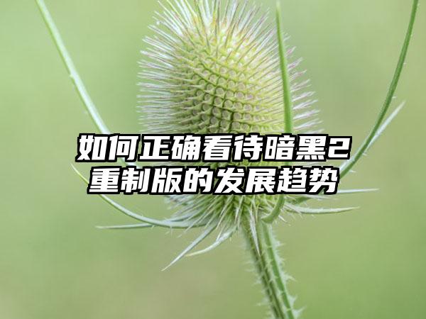 如何正确看待暗黑2重制版的发展趋势
