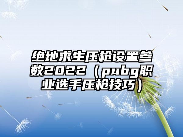 绝地求生压枪设置参数2022（pubg职业选手压枪技巧）
