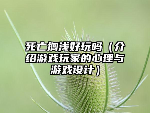 死亡搁浅好玩吗（介绍游戏玩家的心理与游戏设计）