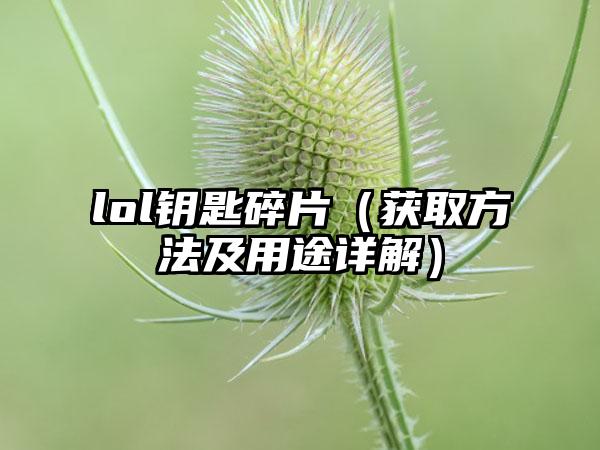 lol钥匙碎片（获取方法及用途详解）
