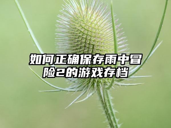 如何正确保存雨中冒险2的游戏存档