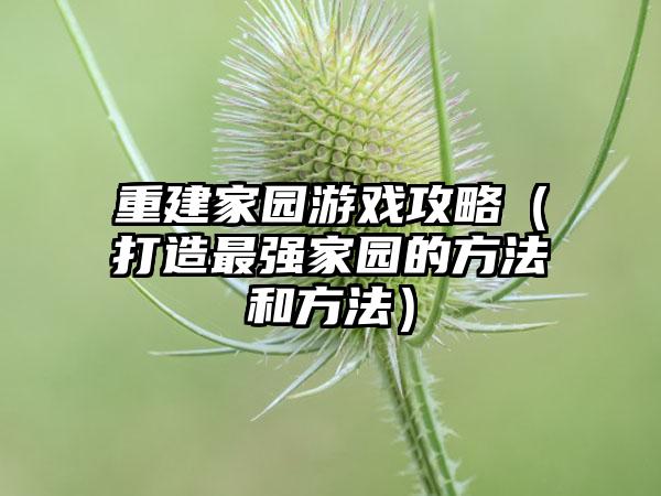 重建家园游戏攻略（打造最强家园的方法和方法）